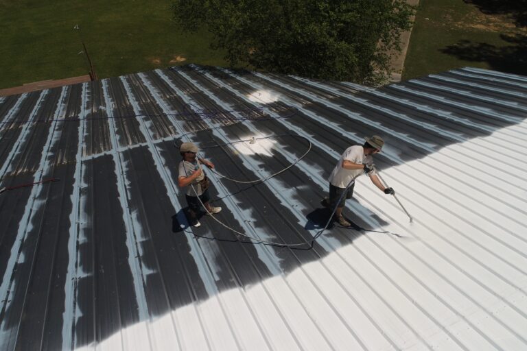 Should You Hire Professional Roof Painters