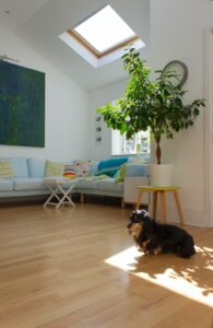 How To Match Wall Colour With Wooden Floors