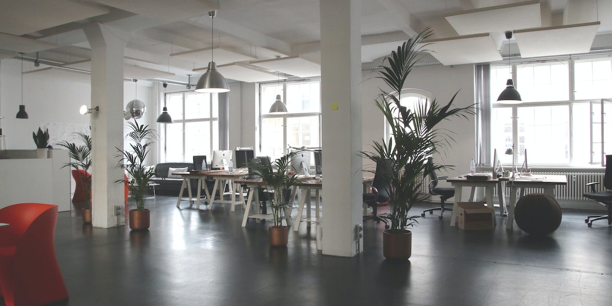 7 Reasons to Hire Professional Painters and Decorators in Ireland for Your Office Makeover