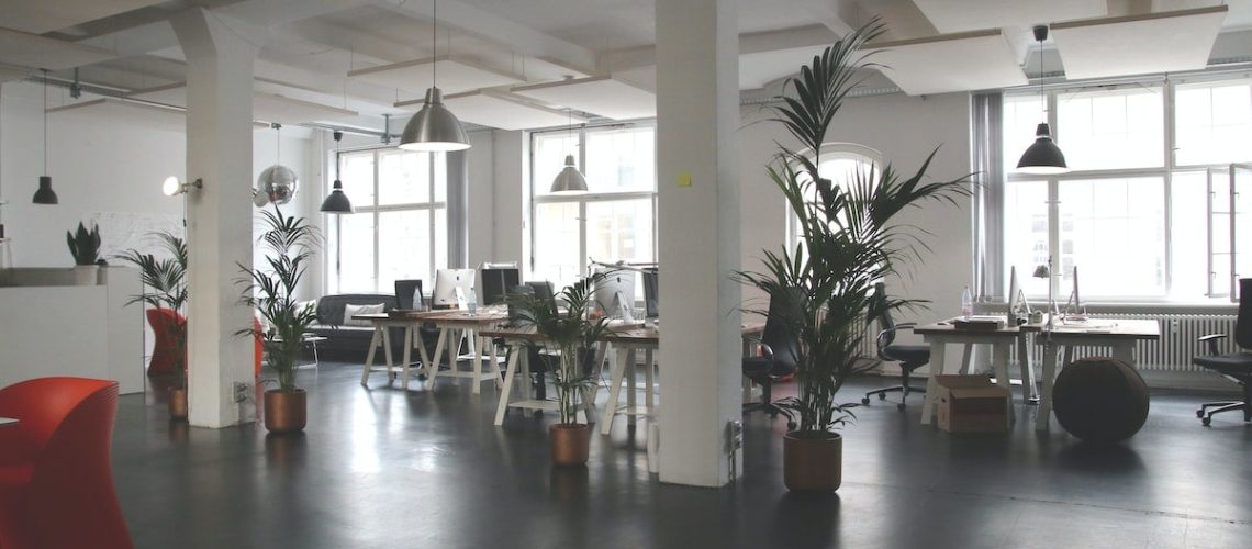 7 Reasons to Hire Professional Painters and Decorators in Ireland for Your Office Makeover
