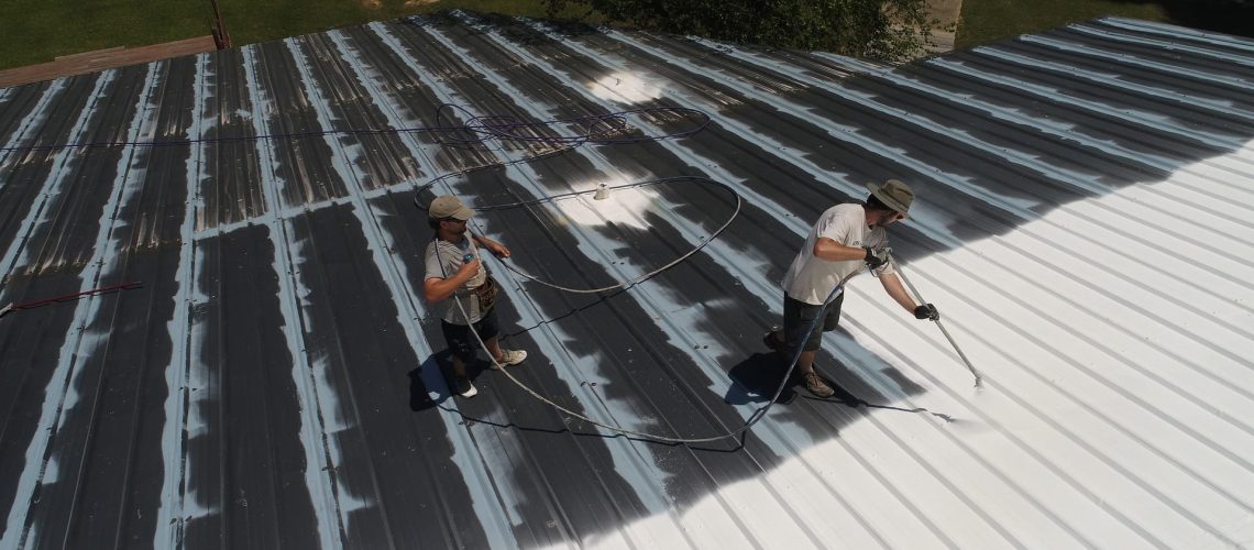 Should You Hire Professional Roof Painters
